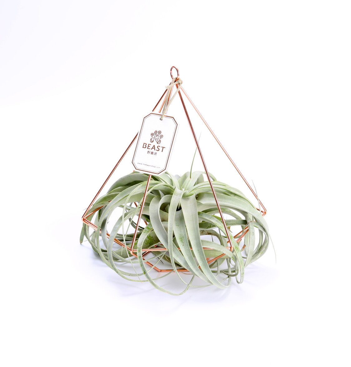 20170905192354897304.JPG?x-oss